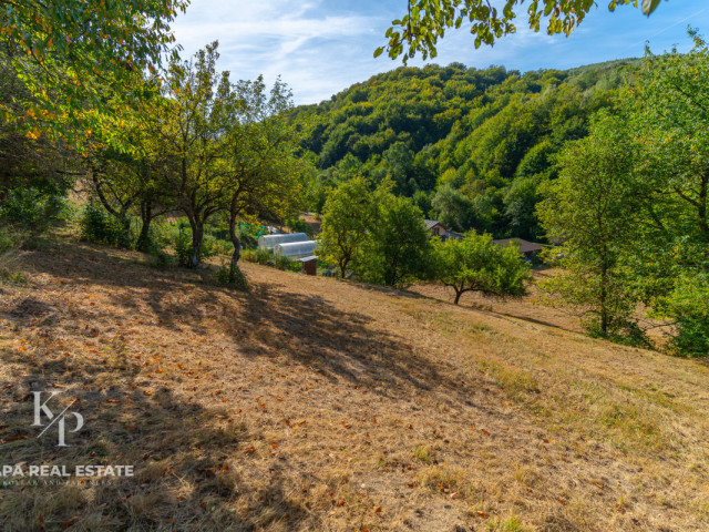 Pozemok na predaj, obec Krajné Čierno, okres Svidník - 7